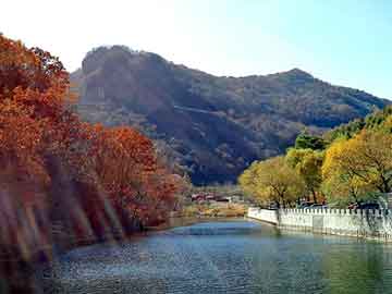 深圳前沿網(wǎng)站建設(shè)，點(diǎn)亮企業(yè)數(shù)字舞臺