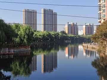 實(shí)驗(yàn)：管家婆一肖一碼100%準(zhǔn)資料大全，政策影響與預(yù)測(cè)Western11.28.4080
