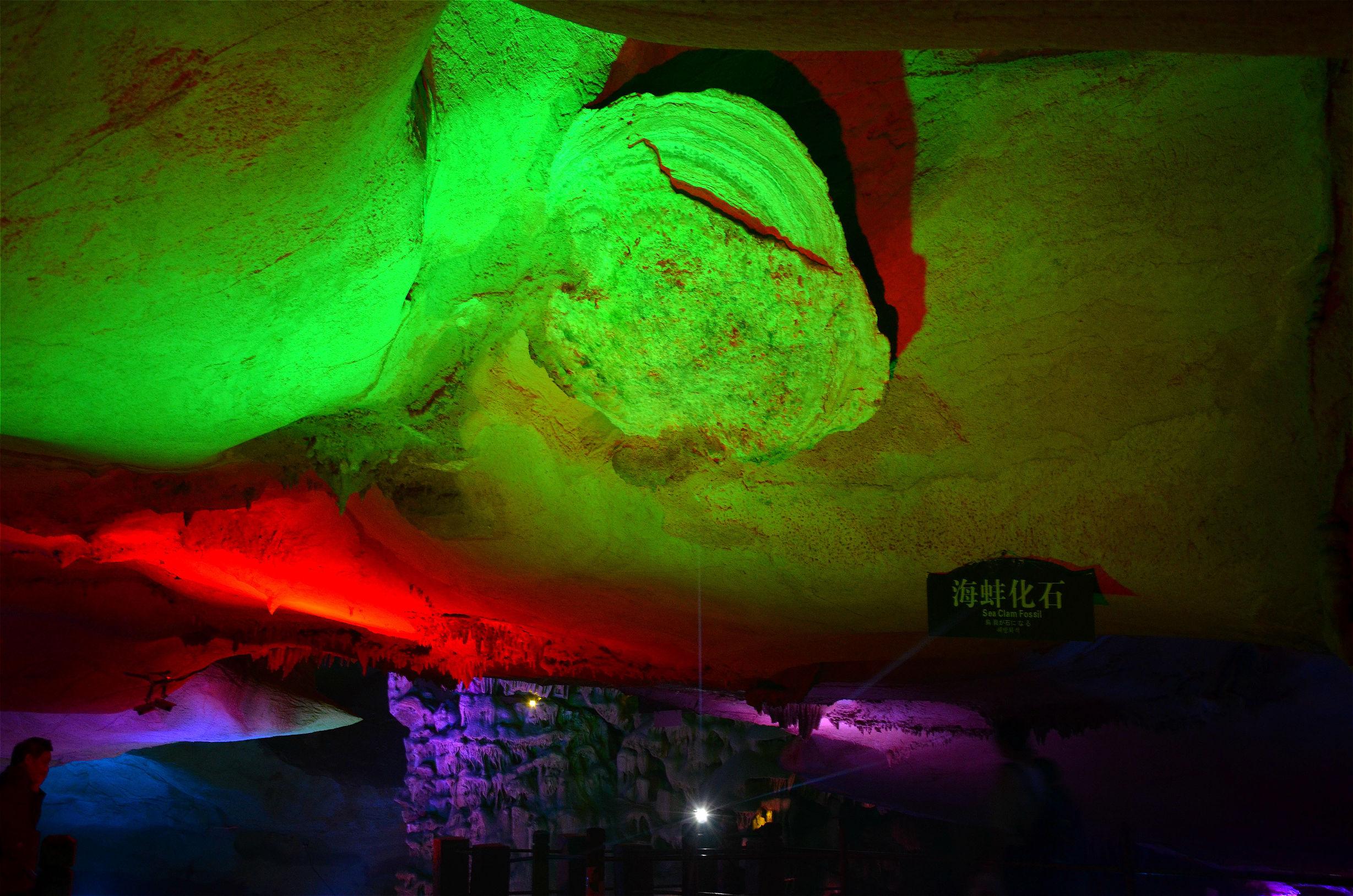 石臺蓬萊仙洞官方網(wǎng)站建設(shè)啟動
