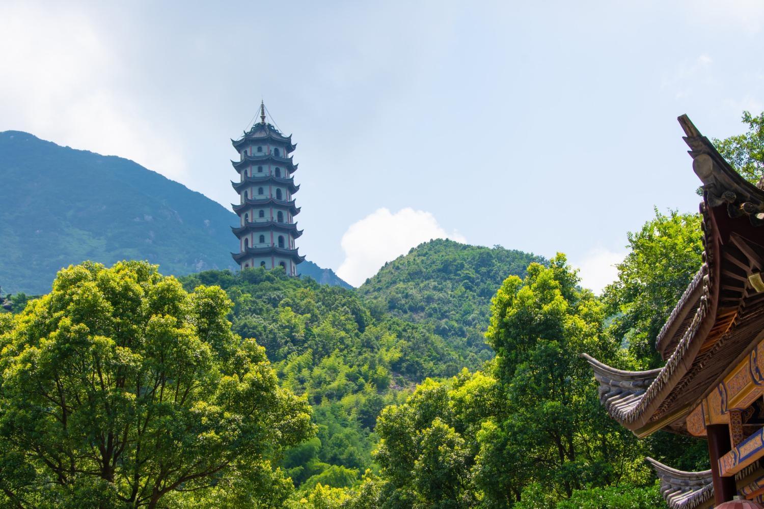 舟山普陀門戶網(wǎng)站建設(shè)步驟指南與指南概覽