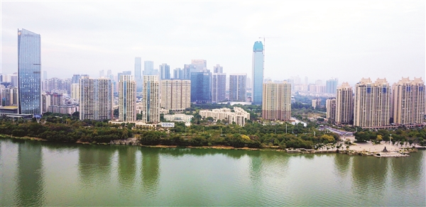 惠城區(qū)網(wǎng)站建設(shè)新紀(jì)元，科技與生活融合的引領(lǐng)者